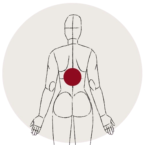Hilfsmittel "Rücken" Liebscher & Bracht